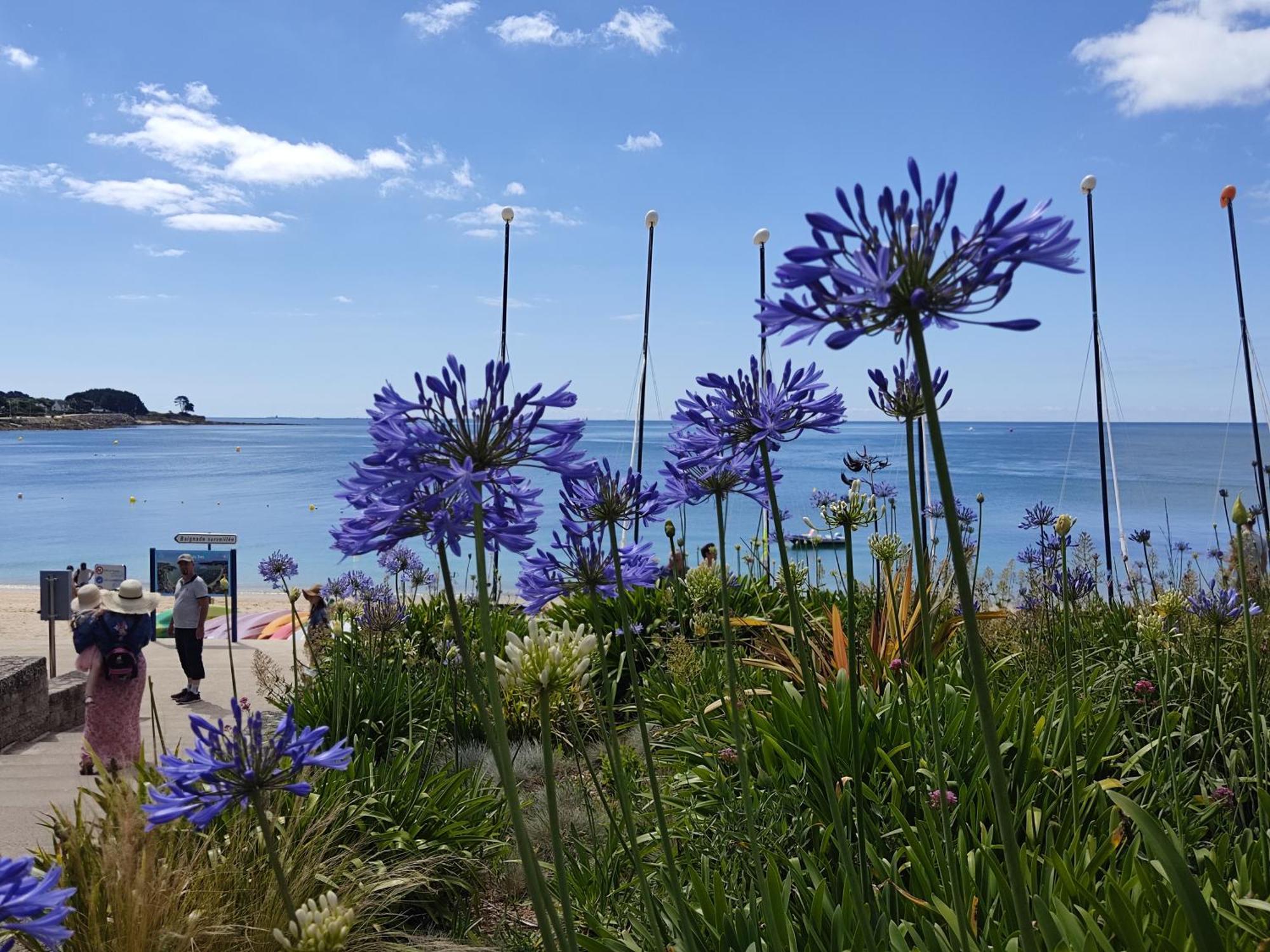 Camping De La Plage Bénodet - 400 mètres de La Plage Esterno foto